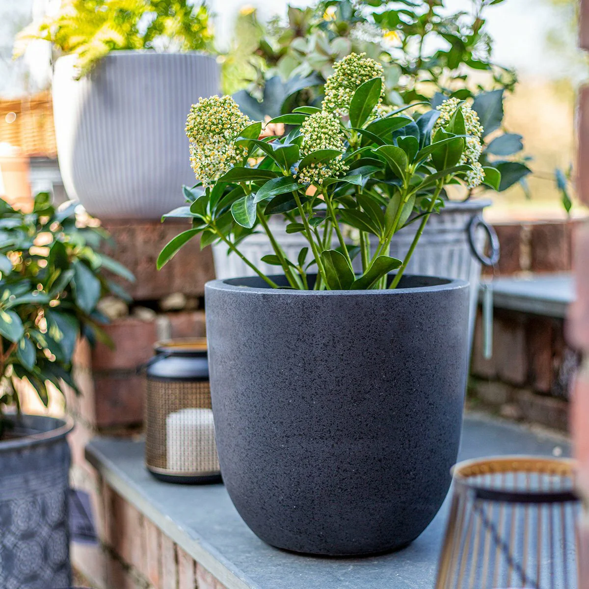 Apta Granito Black Egg Pot - Image 2
