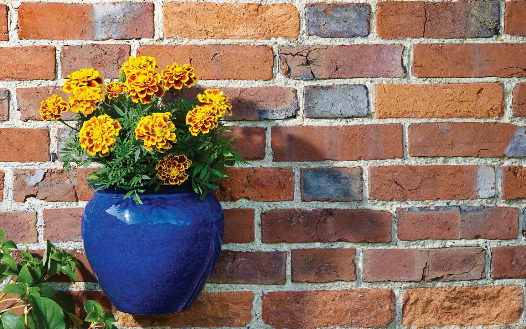 Apta Blue Glazed Jar Wall Pot - Image 2