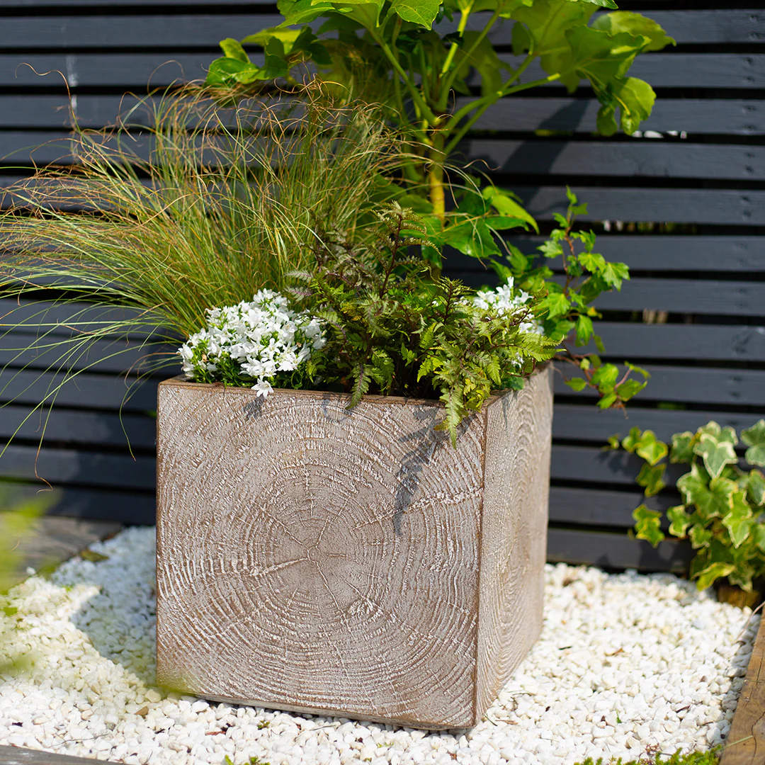 Apta Heartwood Cube - Image 2