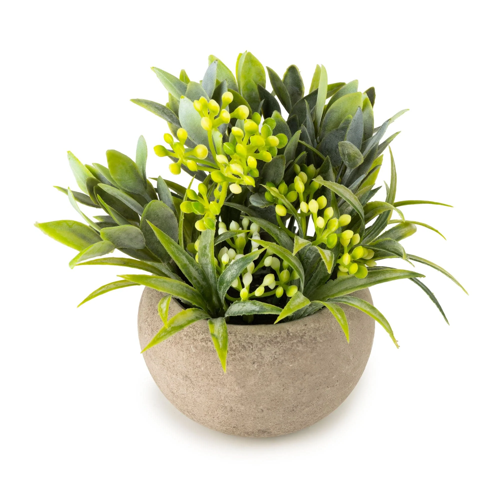 Candlelight 13.5cm Herb in Pot - Image 2