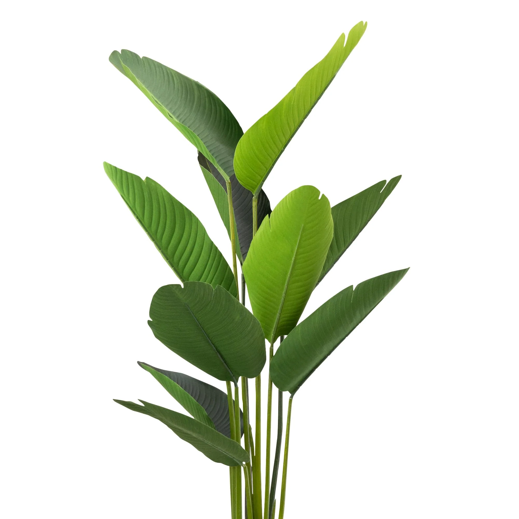 Candlelight 150CM Artificial Streliztia Plant - Image 2