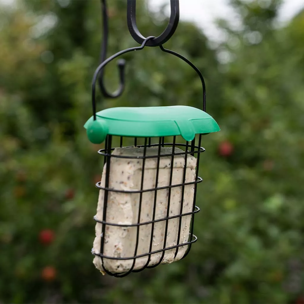 Gardman Flip Top Suet Feast Feeder - Image 2