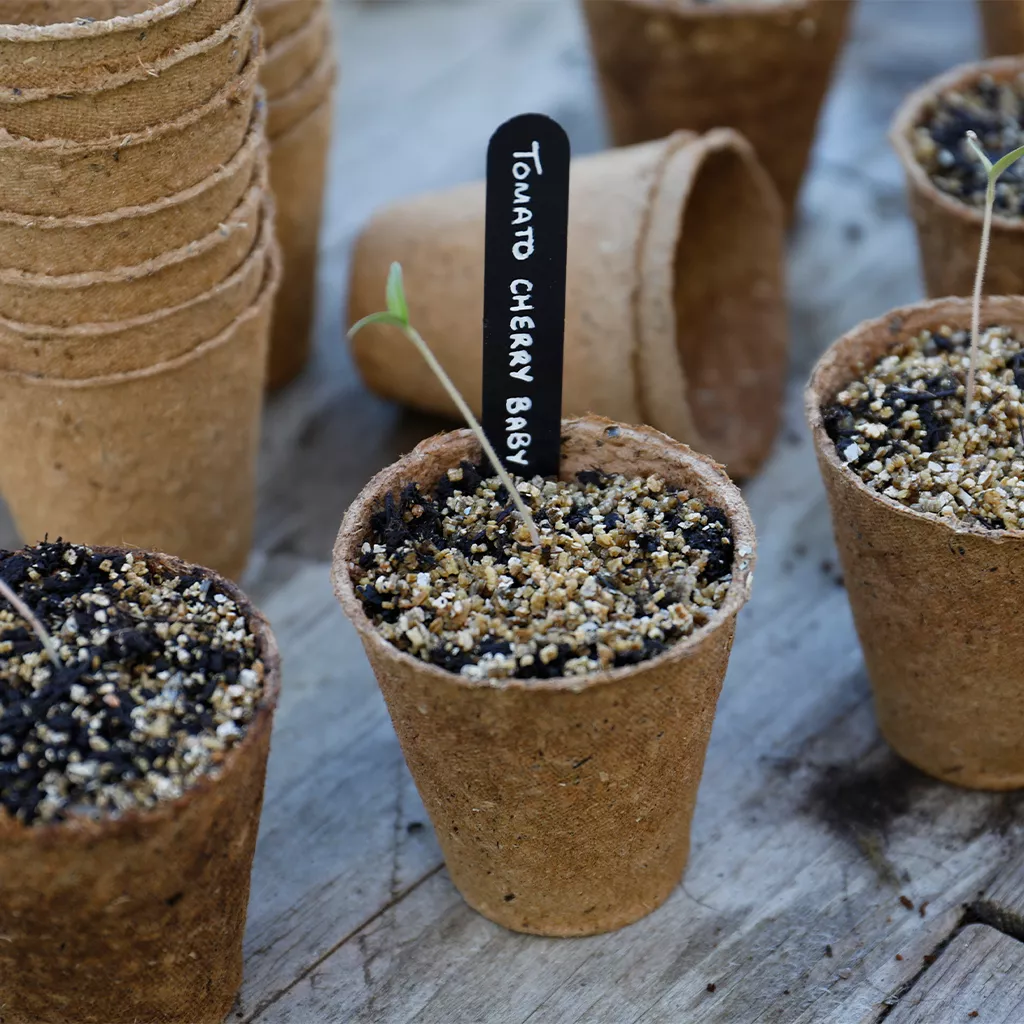 Gro-Sure Round Fibre Pots 6cm Pack of - 96 - Image 4