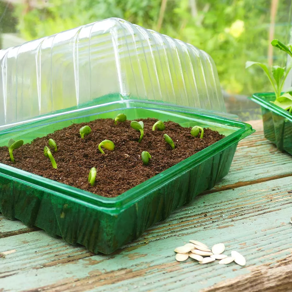 Gro-Sure Visiroot Half Seed Tray Lid - Image 2
