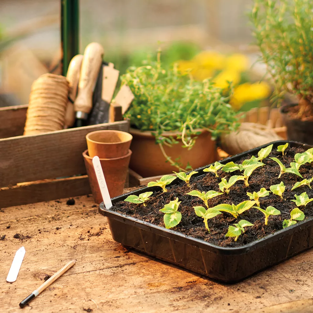 Gardman Gro-Sure Rigid Standard Seed Tray - Image 2