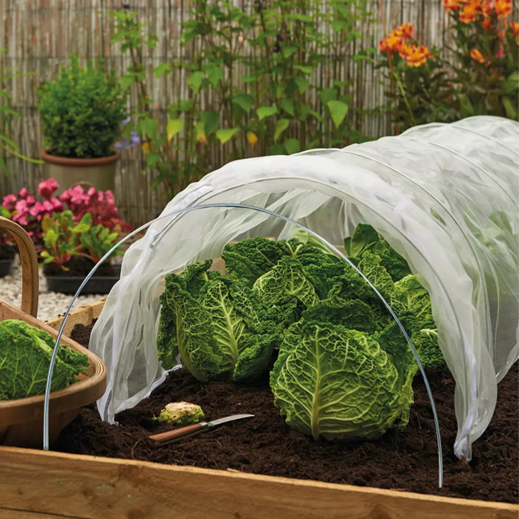 Grow It Tunnel Hoops 3pk - Image 2