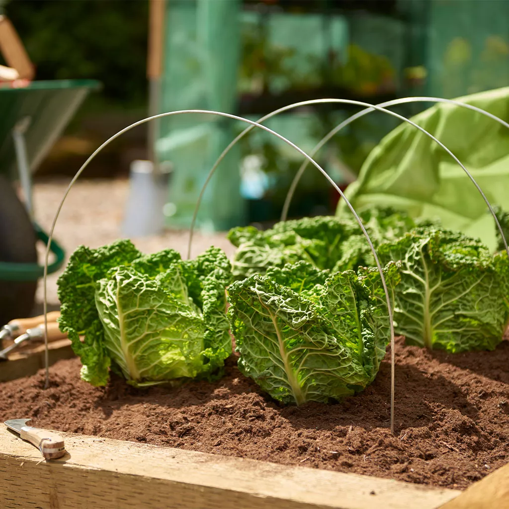 Grow It Tunnel Hoops 3pk - Image 3