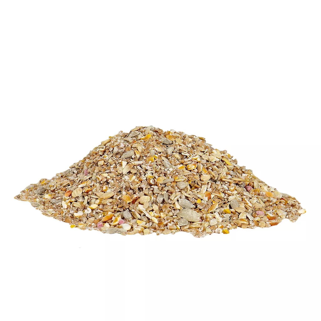 Gardman No Grow Seed Mix - Image 3