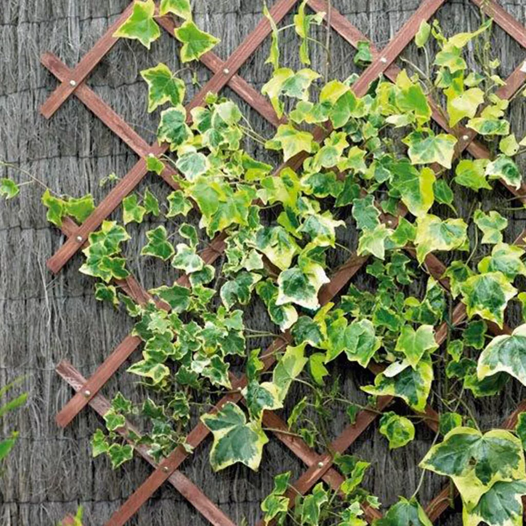 Gardman Tan Riveted Garden Trellis - Image 3