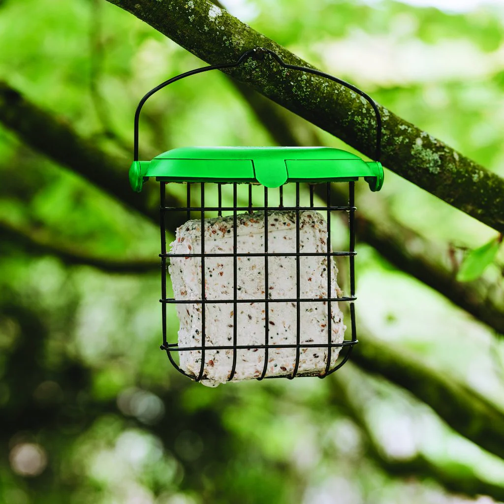 Gardman Seed and Mealworm Suet Feast - Image 3