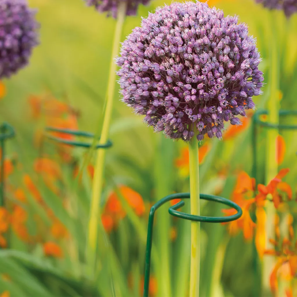 Grow It Single Stem Support 3pk - Image 2