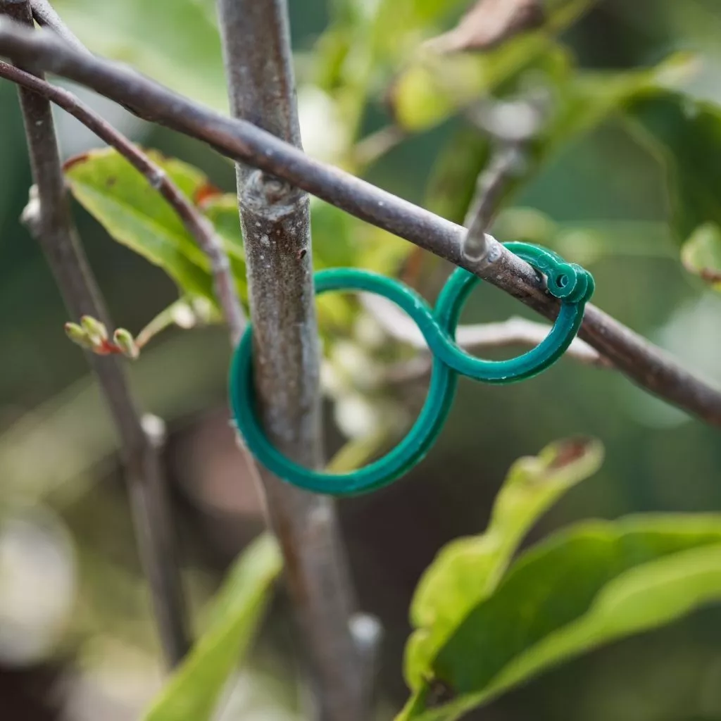 Gardman Twisty Plant Rings x30 - Image 2