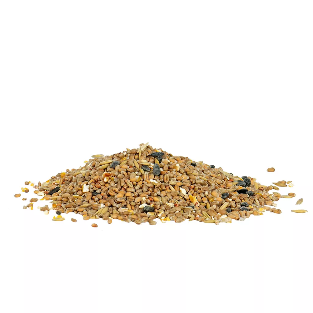 Gardman Wild Bird Seed Mix - Image 4