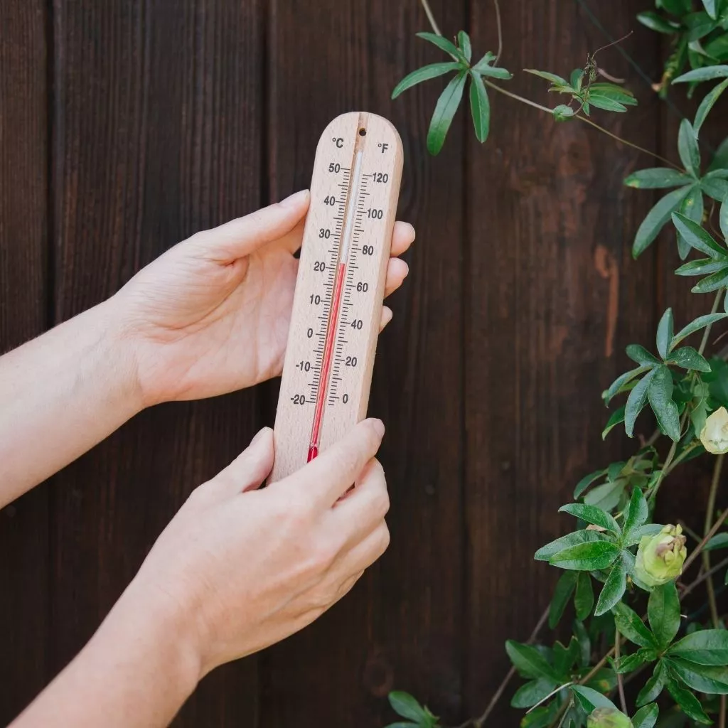 Gardman Wooden Thermometer - Image 2