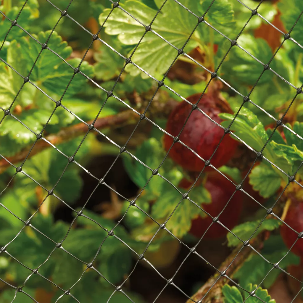 Grow It Crop & Pond Netting 4m x 2m - Image 2
