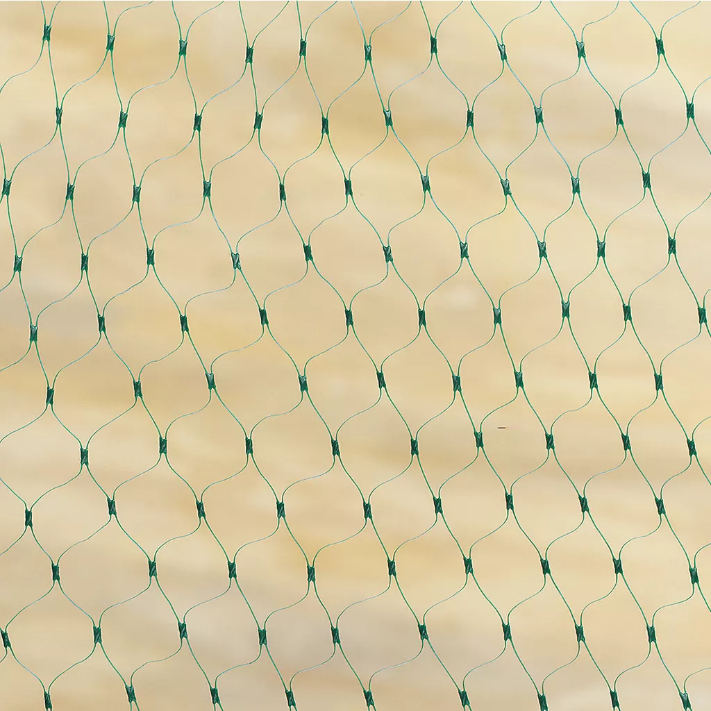 Grow It Protective Fruit & Crop Netting 6m x 2m - Image 3