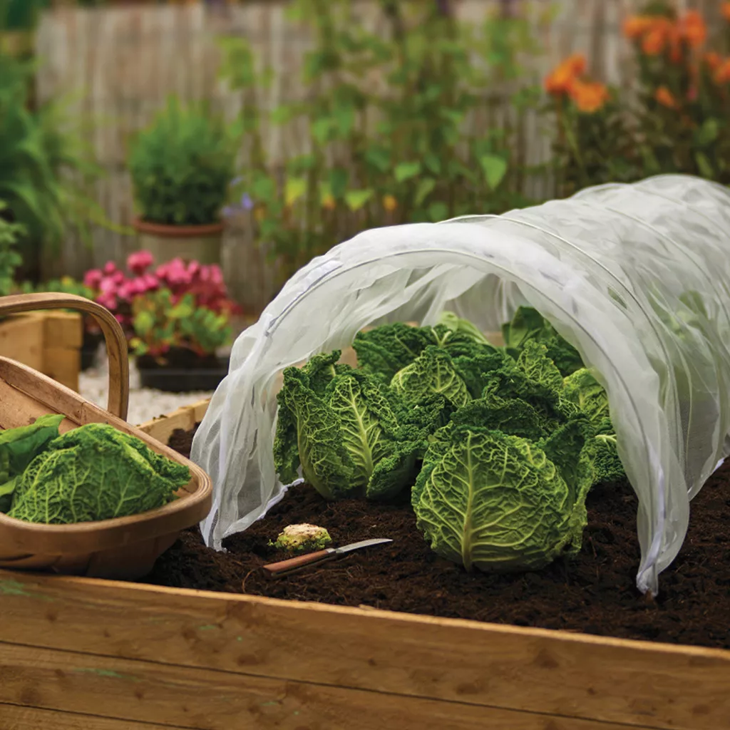 Grow It Mesh Grow Tunnel - Image 2
