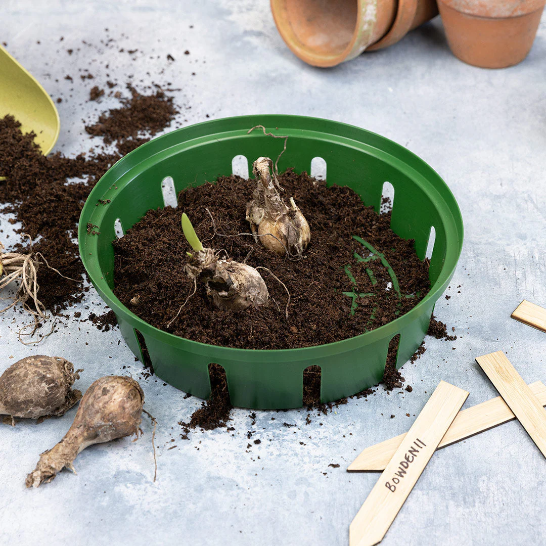 Growers Choice Small 26cm Bulb Basket - Image 2