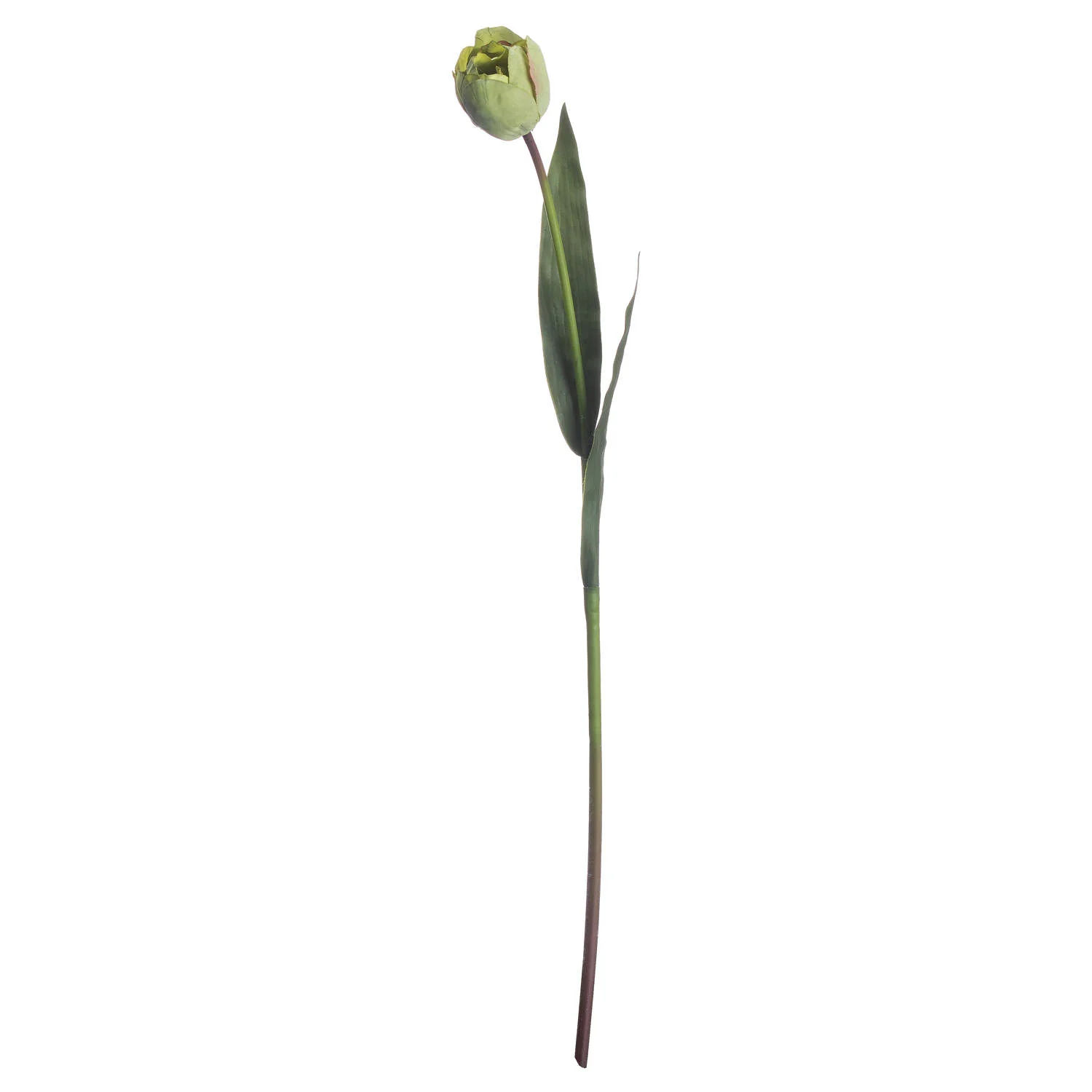 Hill Interiors Green Tulip - Image 2