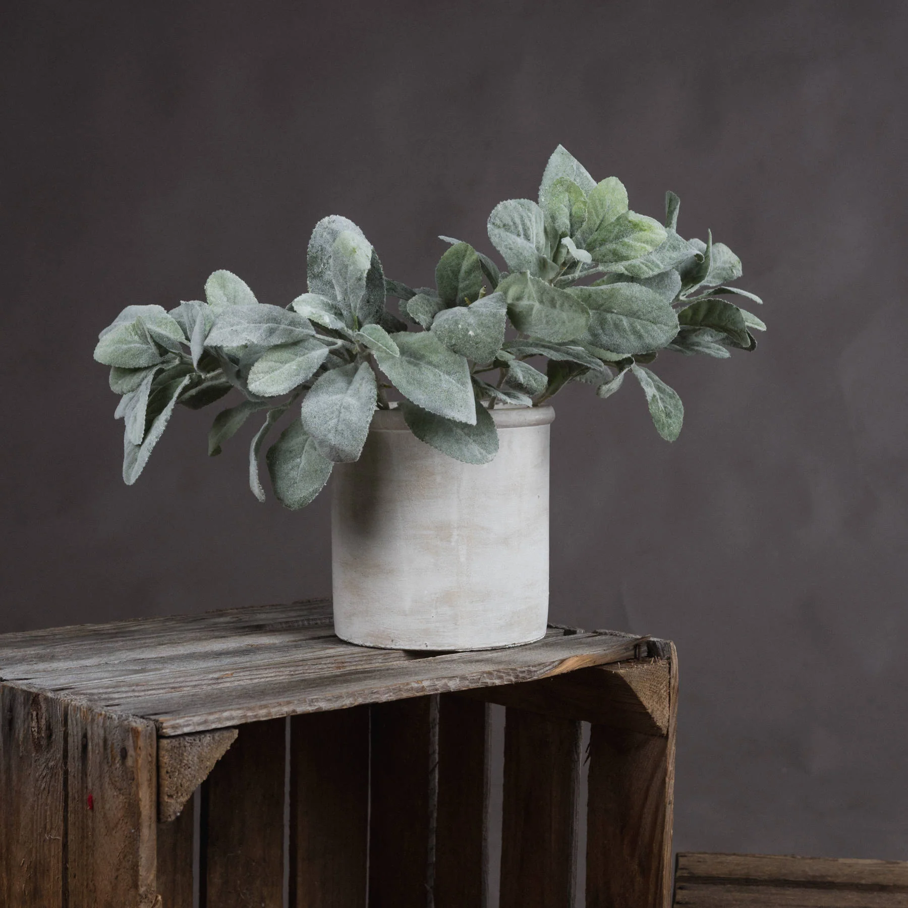 Hill Interiors Lambs Ear Spray - Image 3