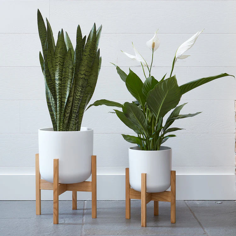Ivyline Lisbon Planter White - Image 2