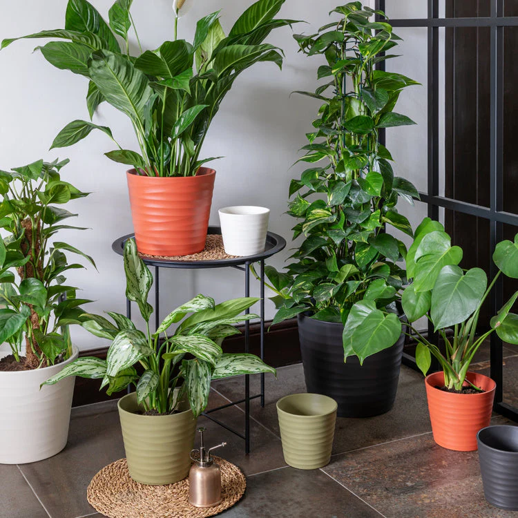 Ivyline Oslo Anthracite Taper Planter - Image 2