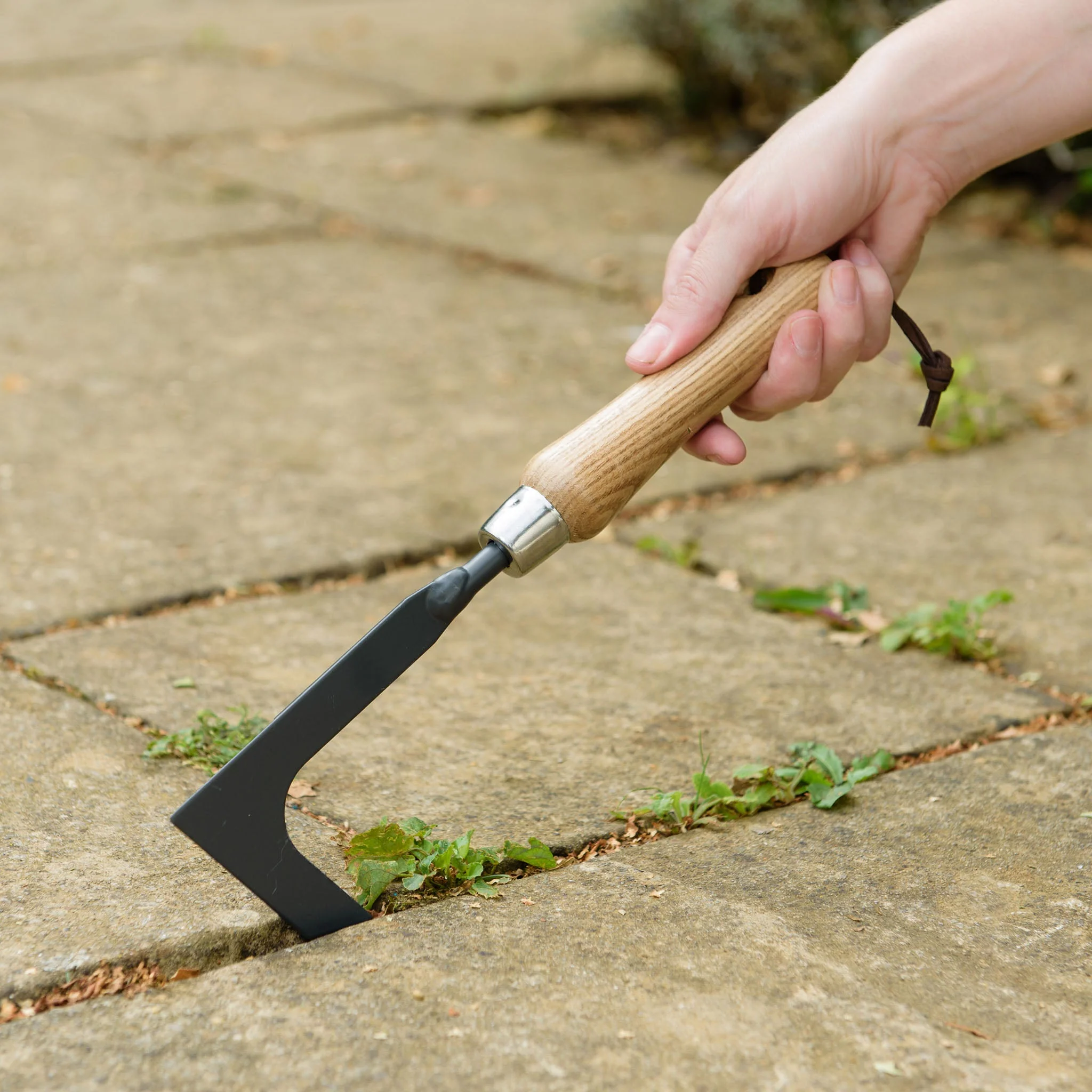 Kent & Stowe Carbon Steel Hand Weeding knife - Image 2