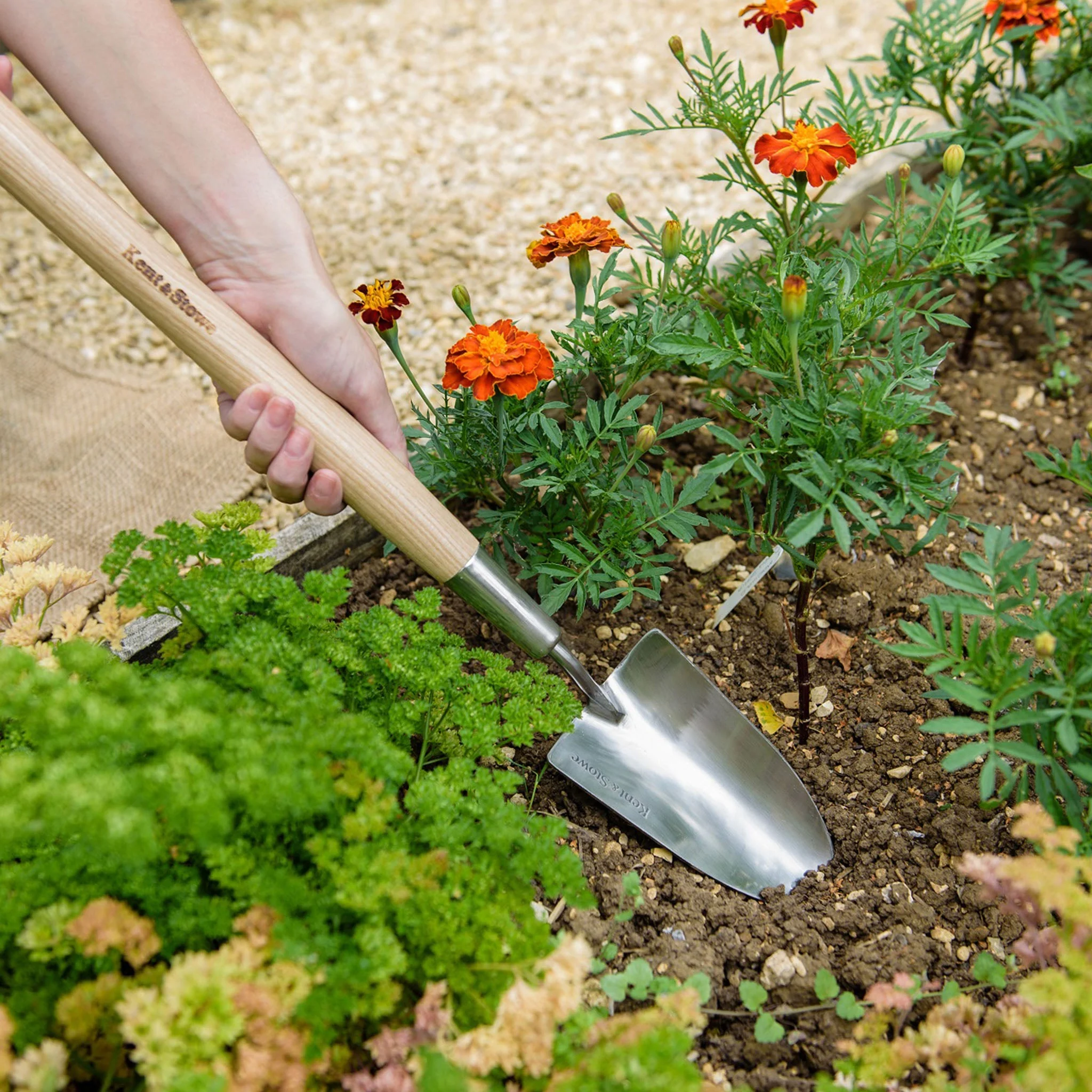 Kent & Stowe Stainless Steel Border Hand Trowel - Image 2