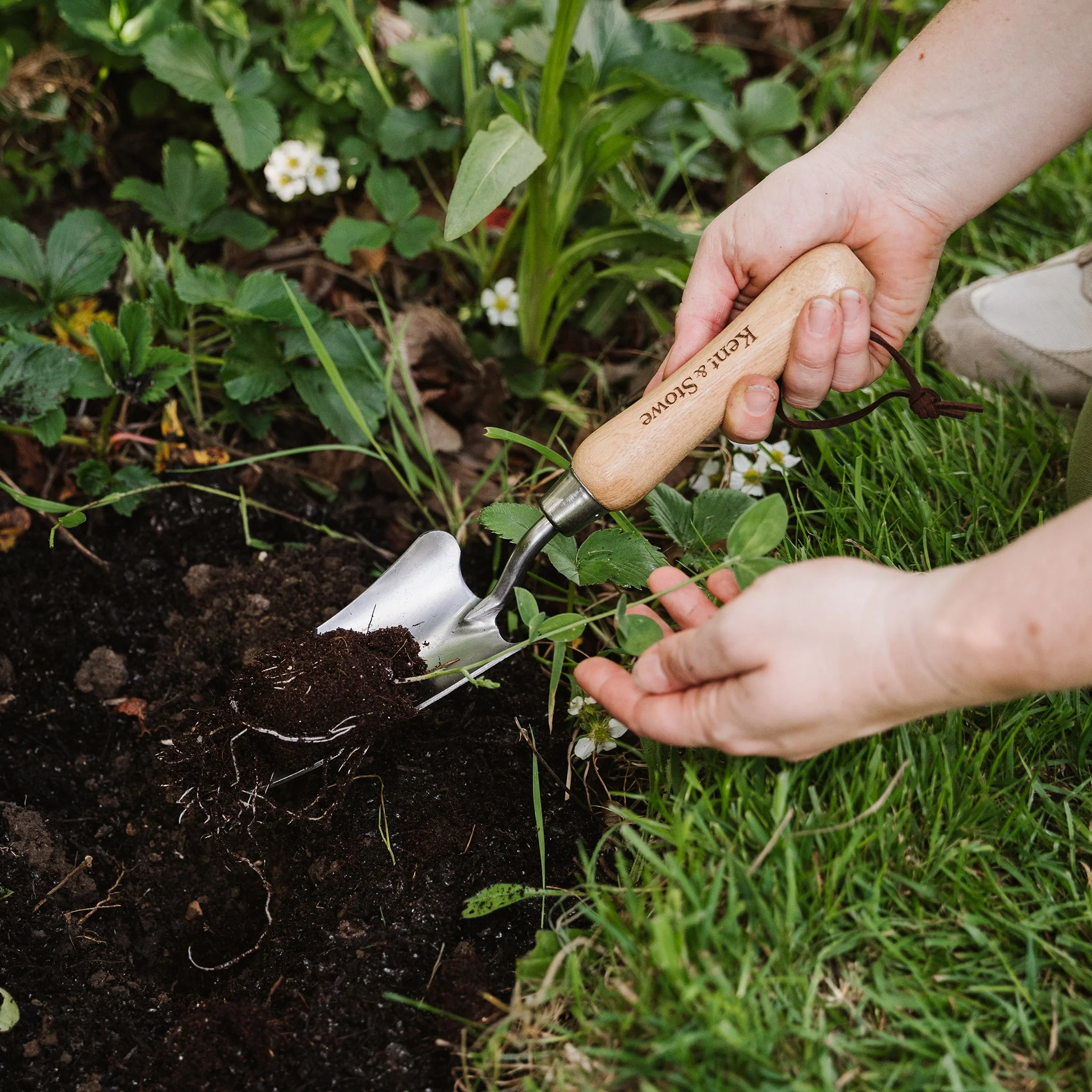 Kent & Stowe Stainless Steel Hand Transplanting Trowel - Image 2