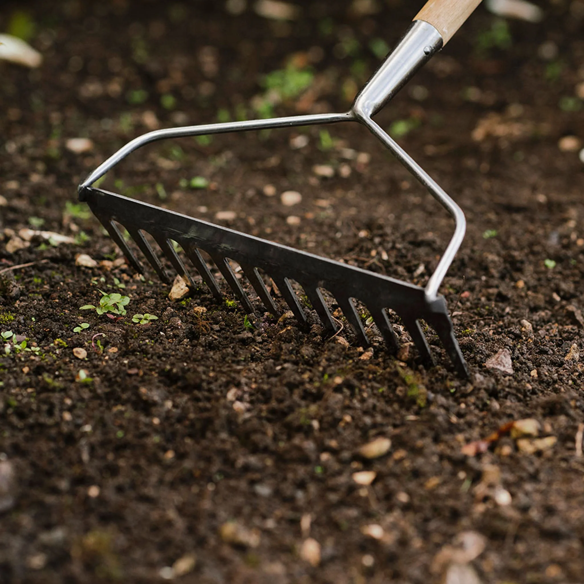 Kent & Stowe Stainless Steel Soil Rake - Image 2
