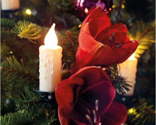 Kaemingk LED Candle Lights Indoor Classic White L1160cm - Image 4
