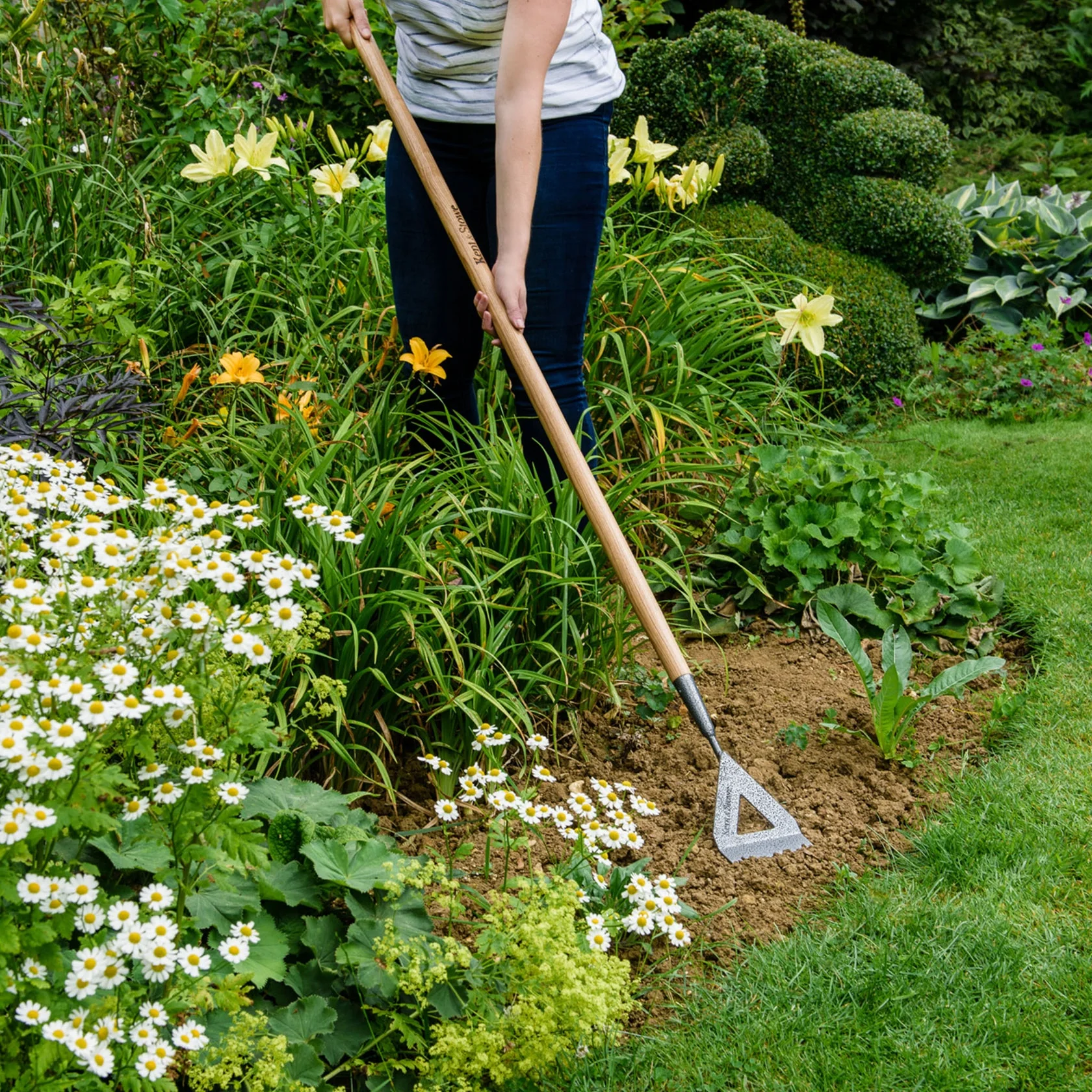 Kent & Stowe Carbon Steel Long Handled Dutch Hoe - Image 2
