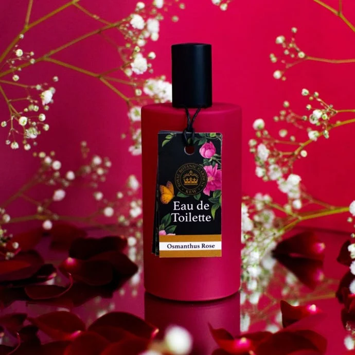 Kew Gardens Osmanthus Rose Eau de Toilette - Image 3