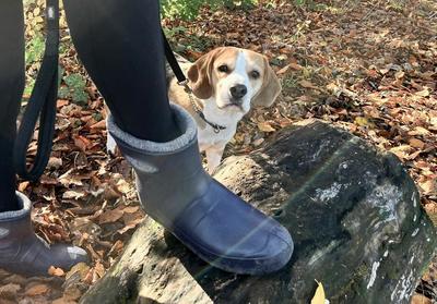 Leon Ultralight Ankle Ladies Boot Navy - Image 2