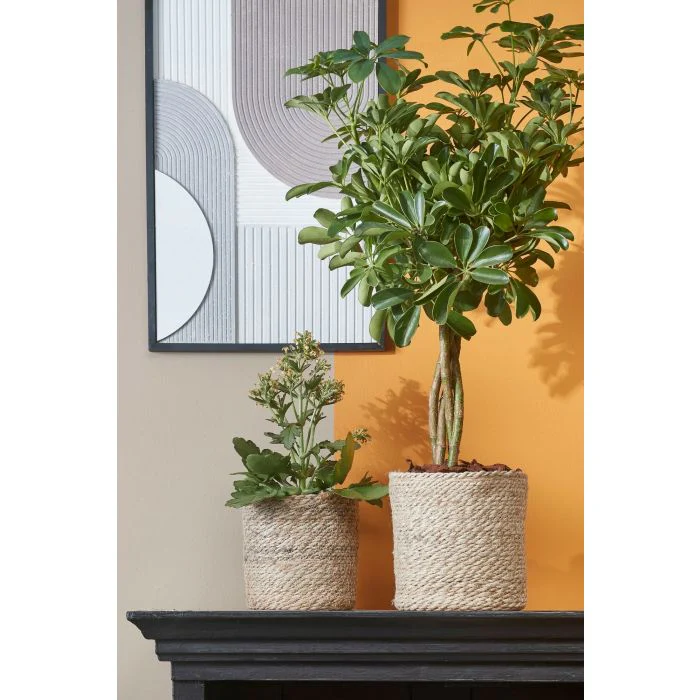 Mica Atlantic Seagrass Plant Basket Cream 18cm - Image 5