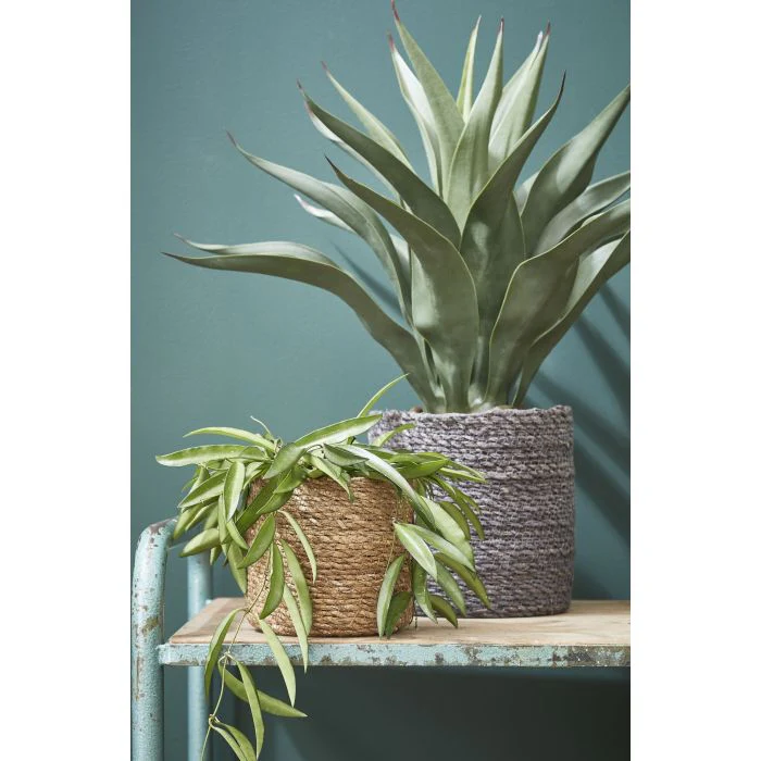 Mica Atlantic Seagrass Plant Basket Light Brown 14cm - Image 2