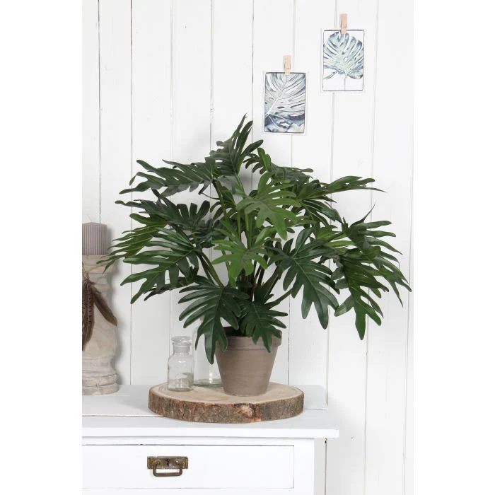 Mica Artificial Potted Philodendron Selloum 50cm - Image 4