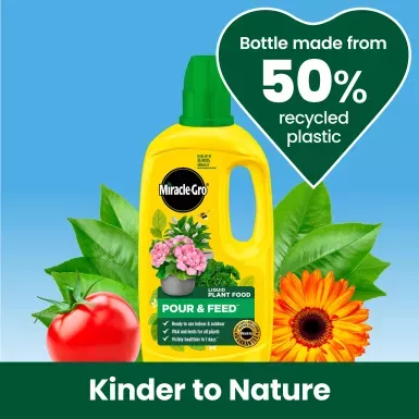 Miracle-Gro Liquid Plant Food - Pour & Feed 1L - Image 2
