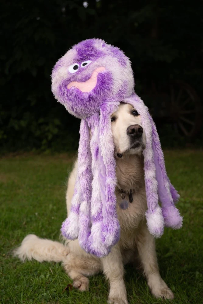 Petface Buddies Orla Octopus Plush Dog Toy Large - Image 3