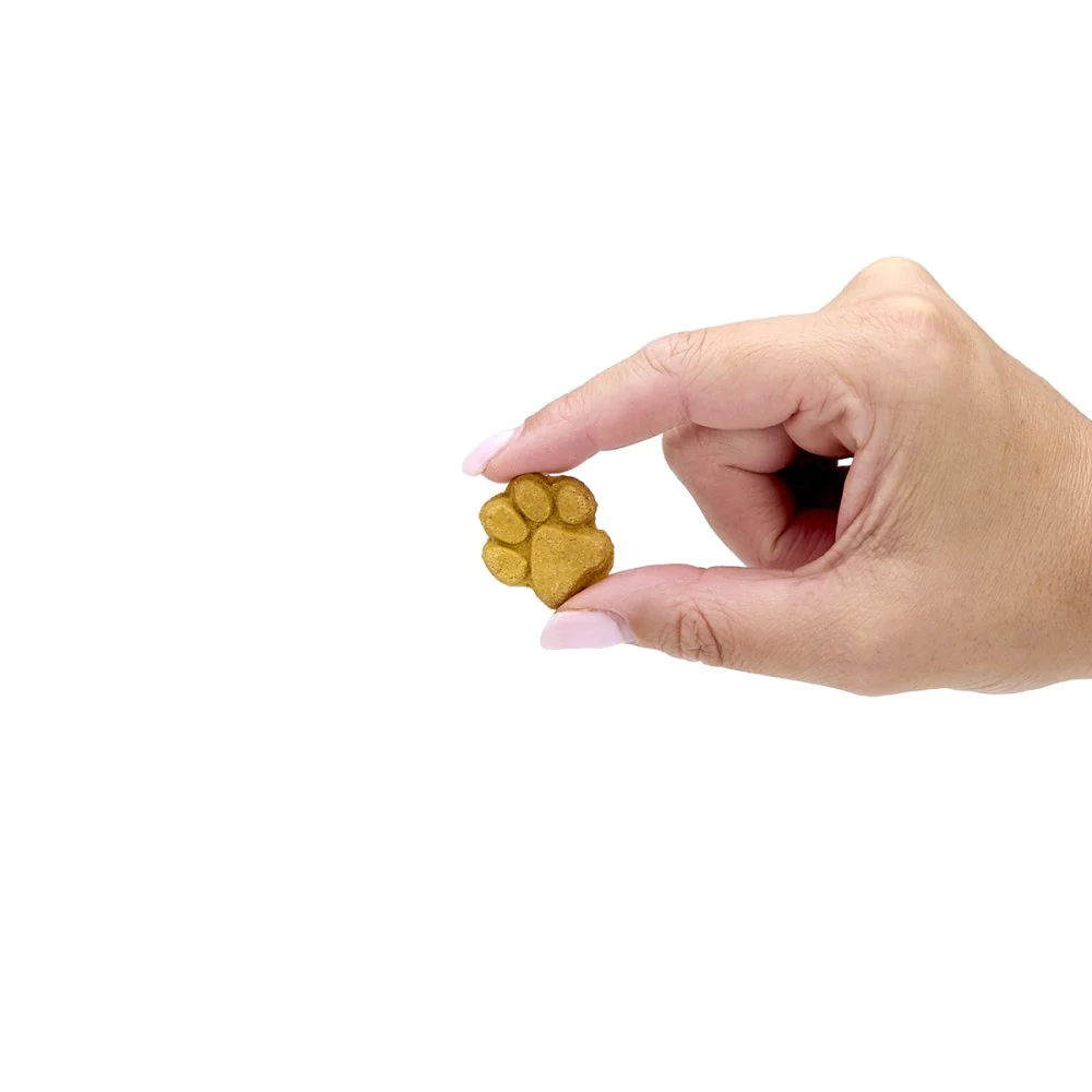 Petface Dog Deli Biscuits With Cheese Mix 100g - Image 3