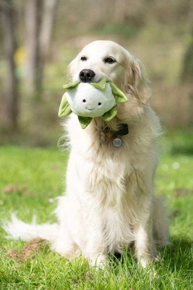 Petface Greenfingers Fluffy Callie Cauliflower Plush Dog Toy - Image 2