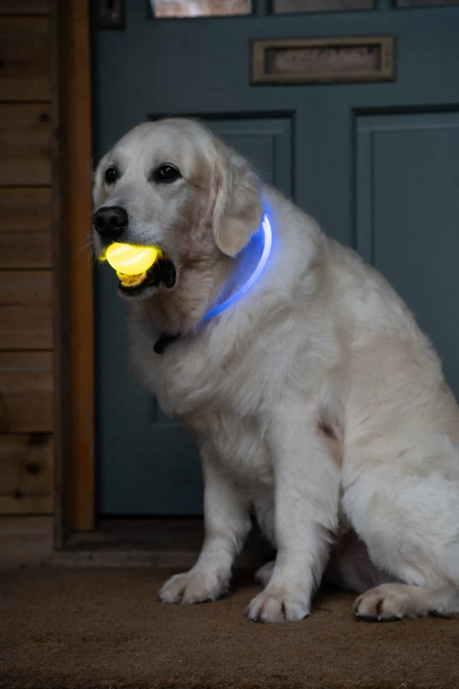 Petface Outdoor Paws Usb Rechargeable Glow In The Dark Ball Dog Toy - Image 2