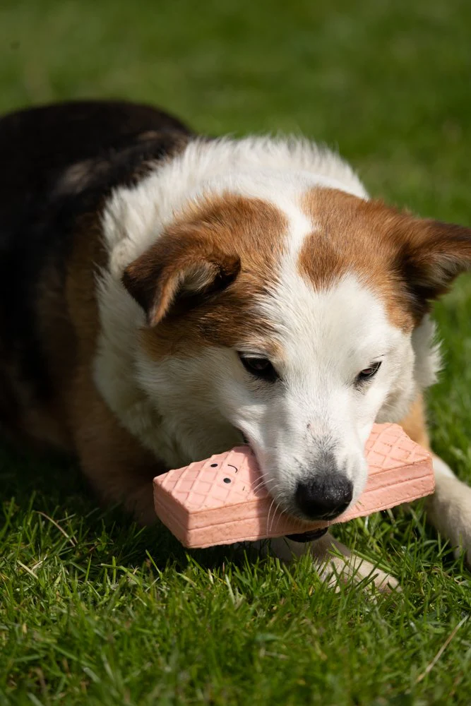 Petface Pink Wafer Latex Dog Toy - Image 3