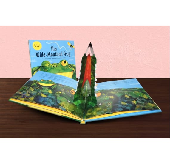 Pop Up Wide Mouthed Frog Book - Image 4