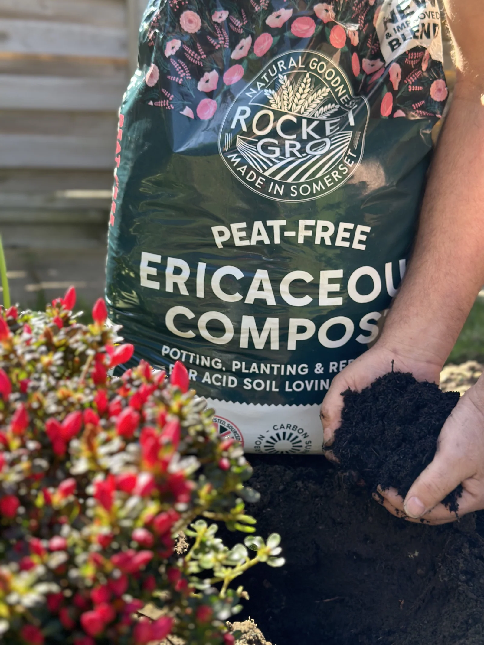 Rocket Gro Peat-Free Ericaceous Compost 40 Litres - Image 3