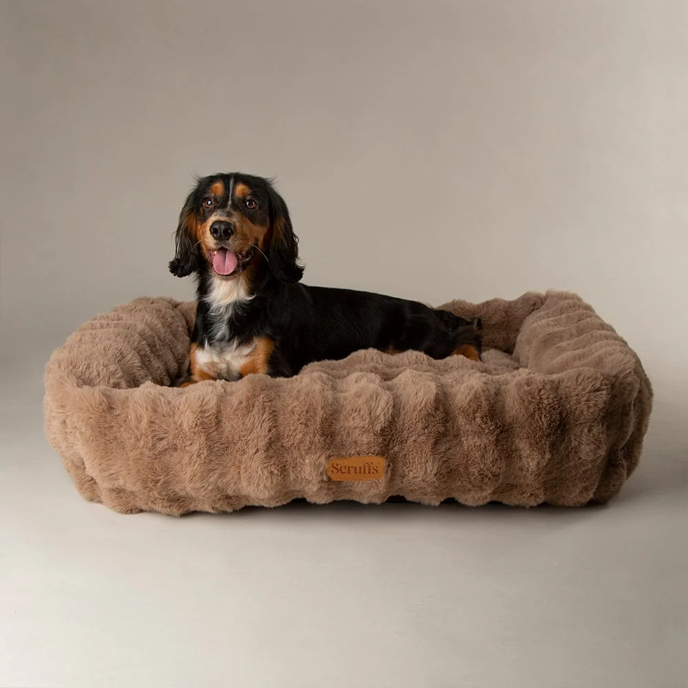 Scruffs Alpine Box Bed Taupe - Image 2