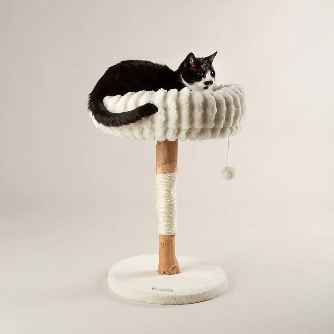 Scruffs Appalachians Cat Scratching Tree Cream - Image 6