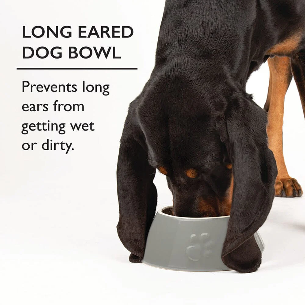 Scruffs Classic Long Eared Dog Bowl 21cm Light Grey - Image 3