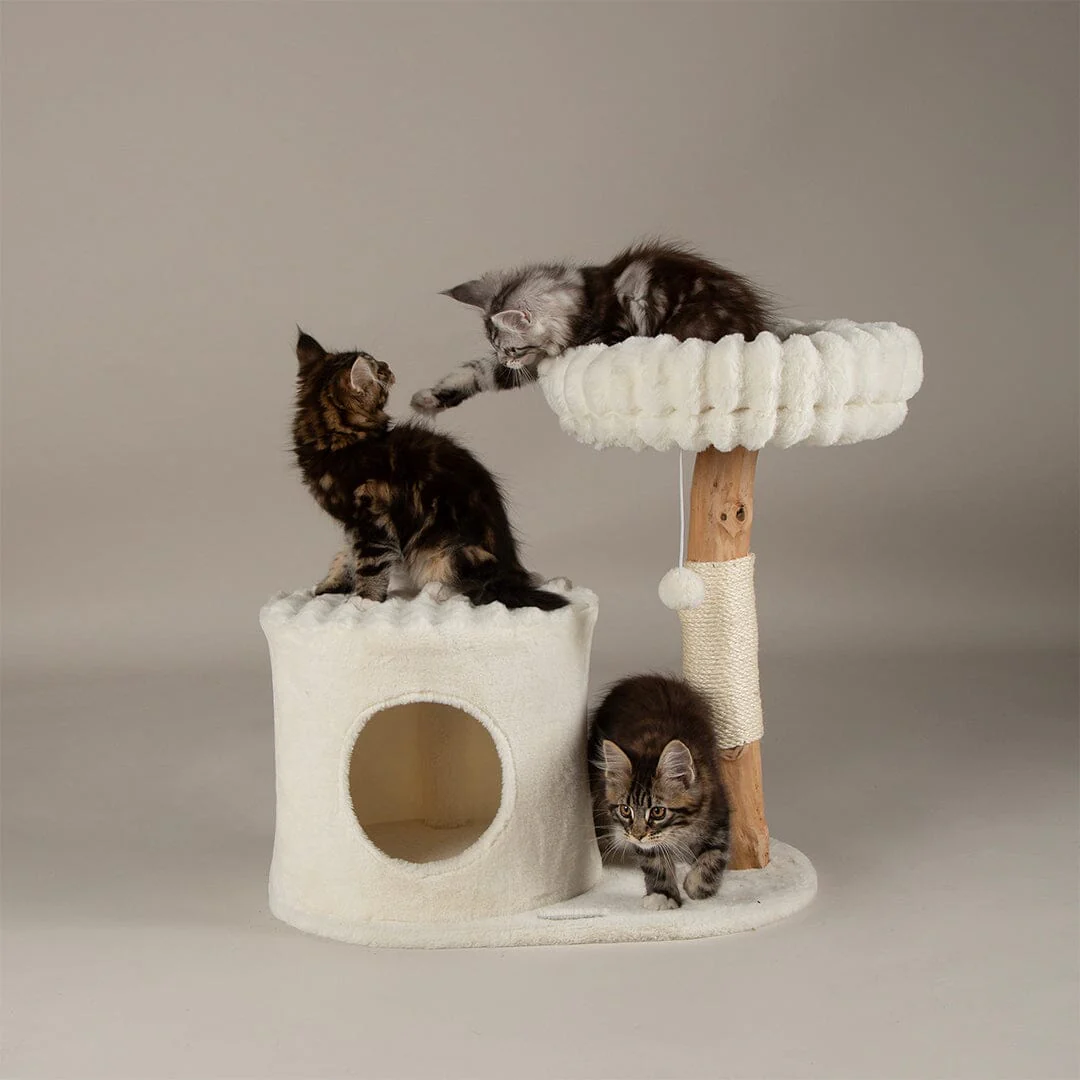 Scruffs Himalayas Cat Scratching Tree Cream - Image 4