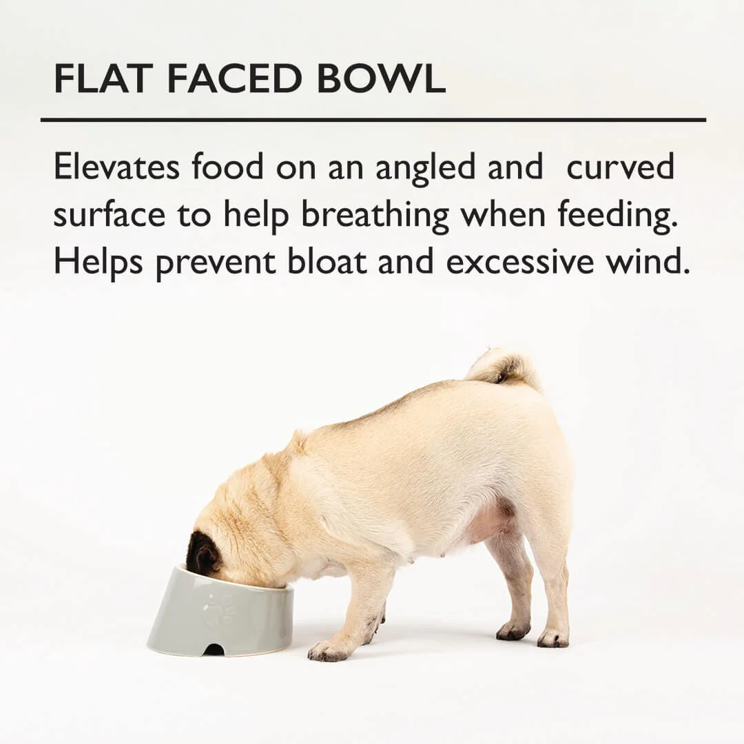 Scruffs Icon Flat Faced Pet Bowl Cream 18cm - Image 3